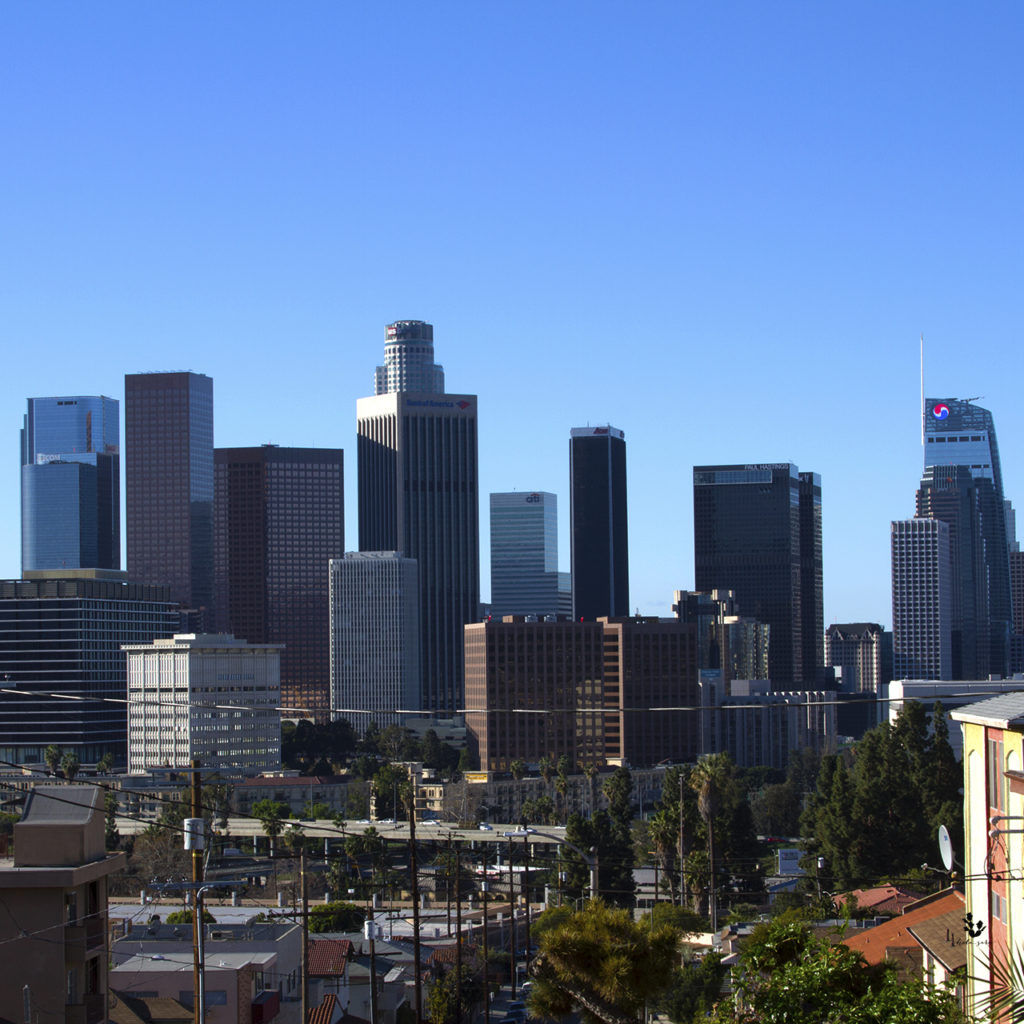 VIEWS OF DTLA – Hola Sara